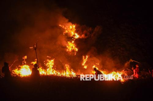 BNPB Reports Forest and Land Fires Across Sumatra, Java, Sulawesi, Maluku, and Papua