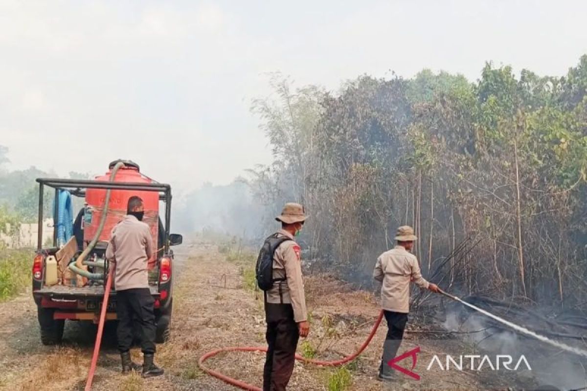 Forestry Minister urges vigilance against forest fires amid strong El Niño forecast
