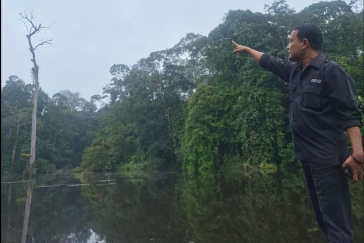 President Prabowo pledges full support for ecosystem restoration