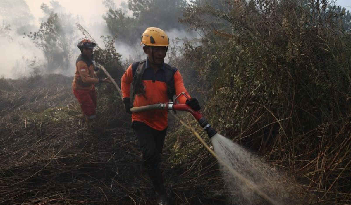 Forest Fire Fallout: Acute Respiratory Infection Cases in North Kayong, West Kalimantan, Reach 934