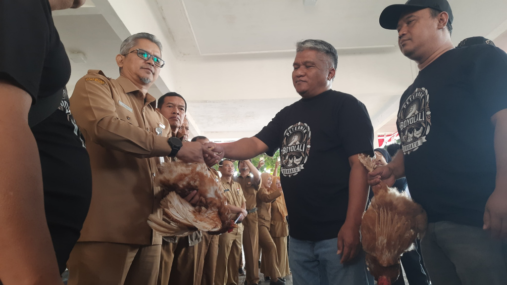 Boyolali Chicken Farmers Protest Skyrocketing Feed Prices, Distribute Free Poultry to Officials