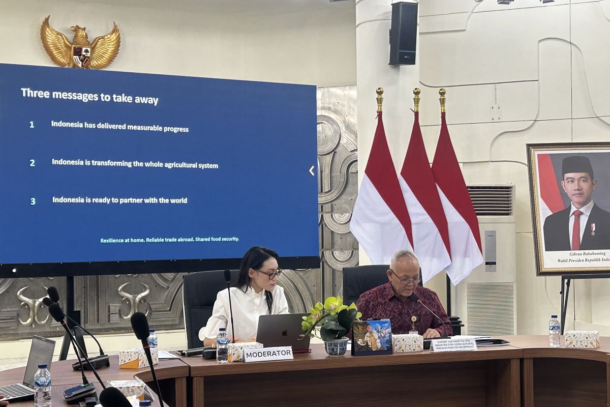 Indonesia confident on food security outlook as farm output rises
