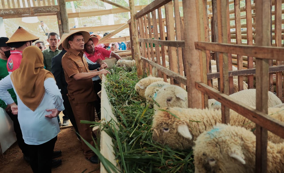 Central Java's Revola Programme Transforms Idle Land into Productive Farms