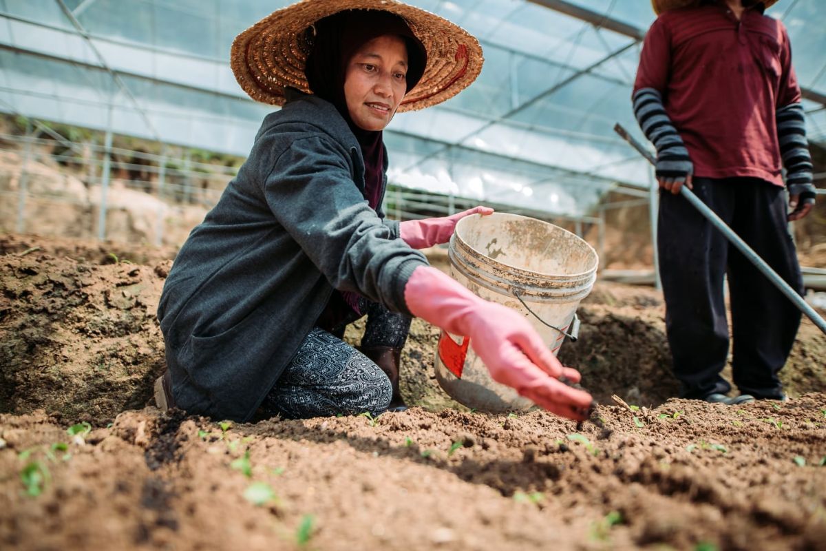 Beanstalk AgTech Launches Monsoon Ventures to Accelerate Agtech Commercialisation in Southeast Asia