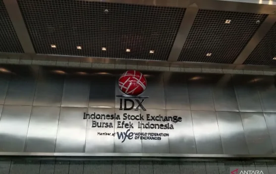 Danantara Prepares Investment as IDX Demutualization Advances