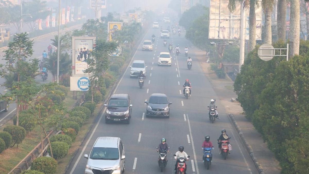 Pontianak Students Shift to Online Learning as Forest Fire Haze Worsens, Respiratory Cases Rise
