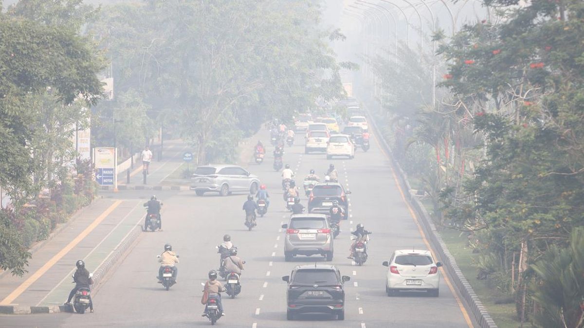 Forest Fire Emergency: Smoke Blankets Pontianak City