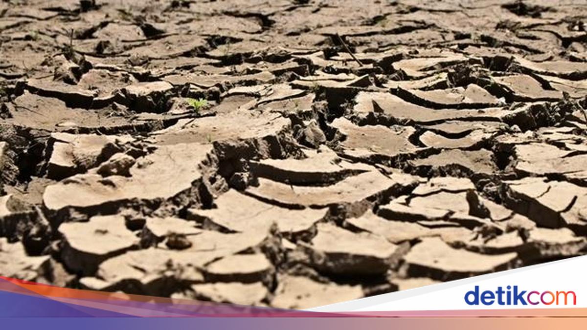 July 2026 Becomes Hottest Month Since 1991 Due to El Niño Effect