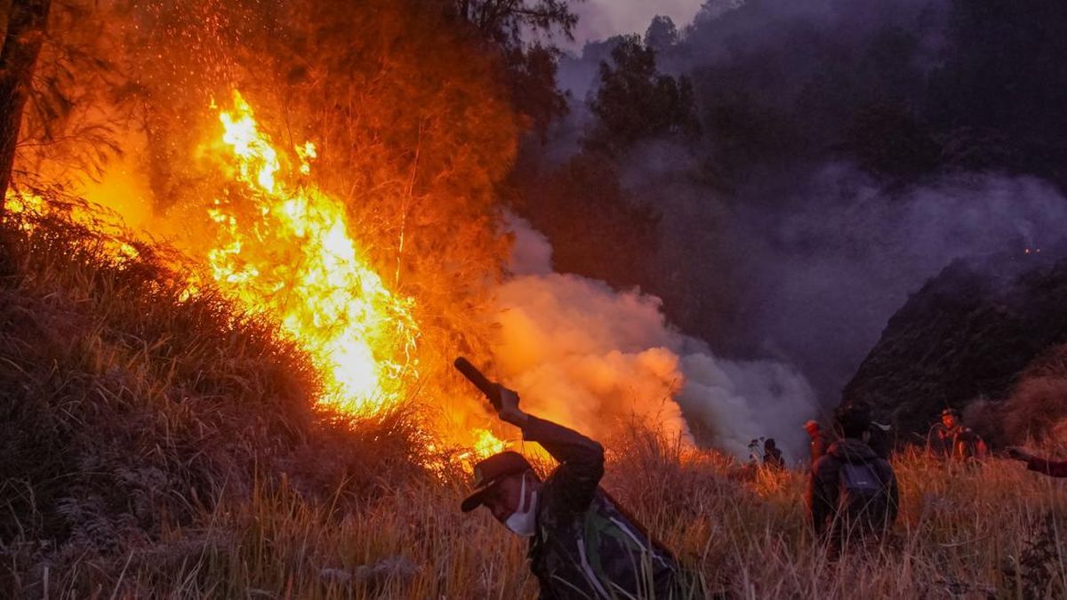 Bromo Fire Expands to 899 Hectares