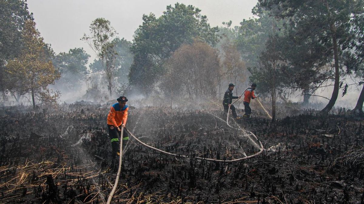 Palangka Raya Declares Forest Fire and Drought Emergency as Water Crisis Spreads