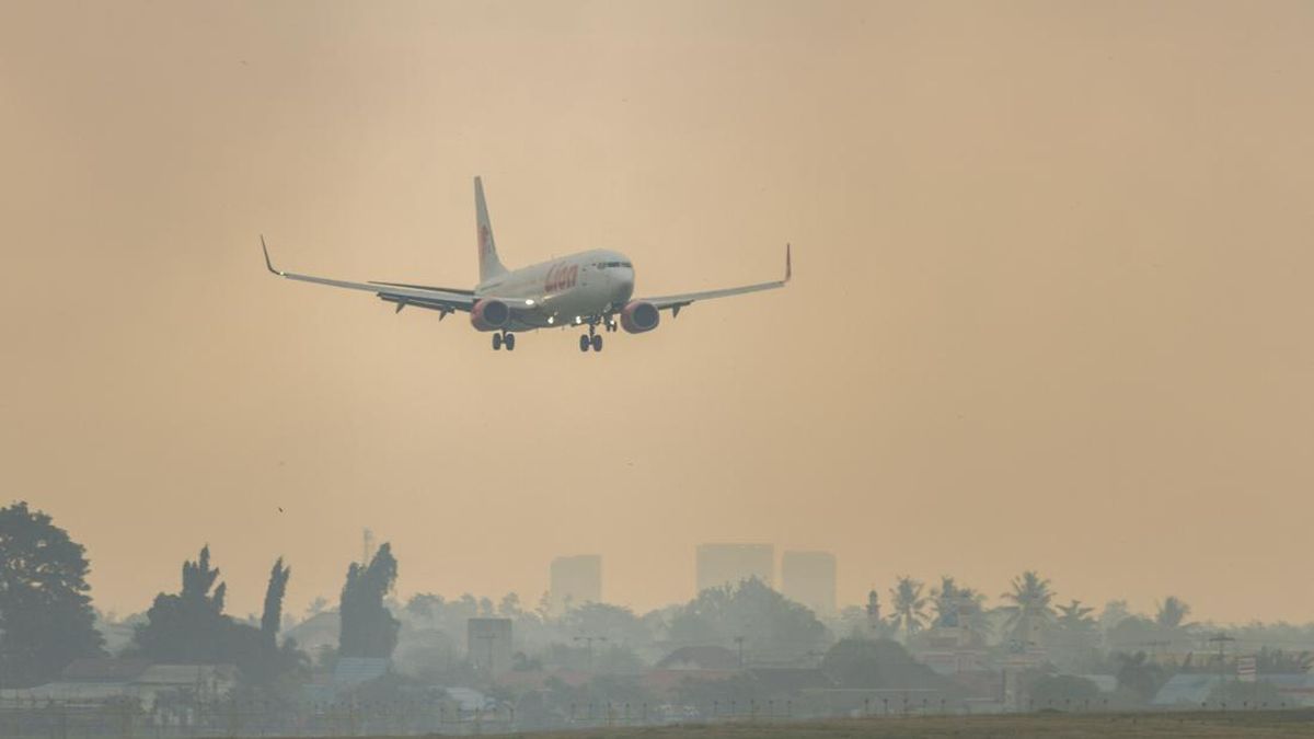 Flights to Tanjung Puting, Central Kalimantan, Disrupted by Forest Fire Haze
