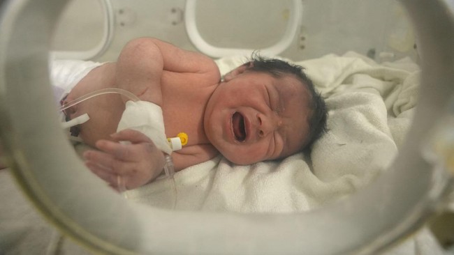 Newborns to Receive Digital Birth Certificates Automatically Under New Government System