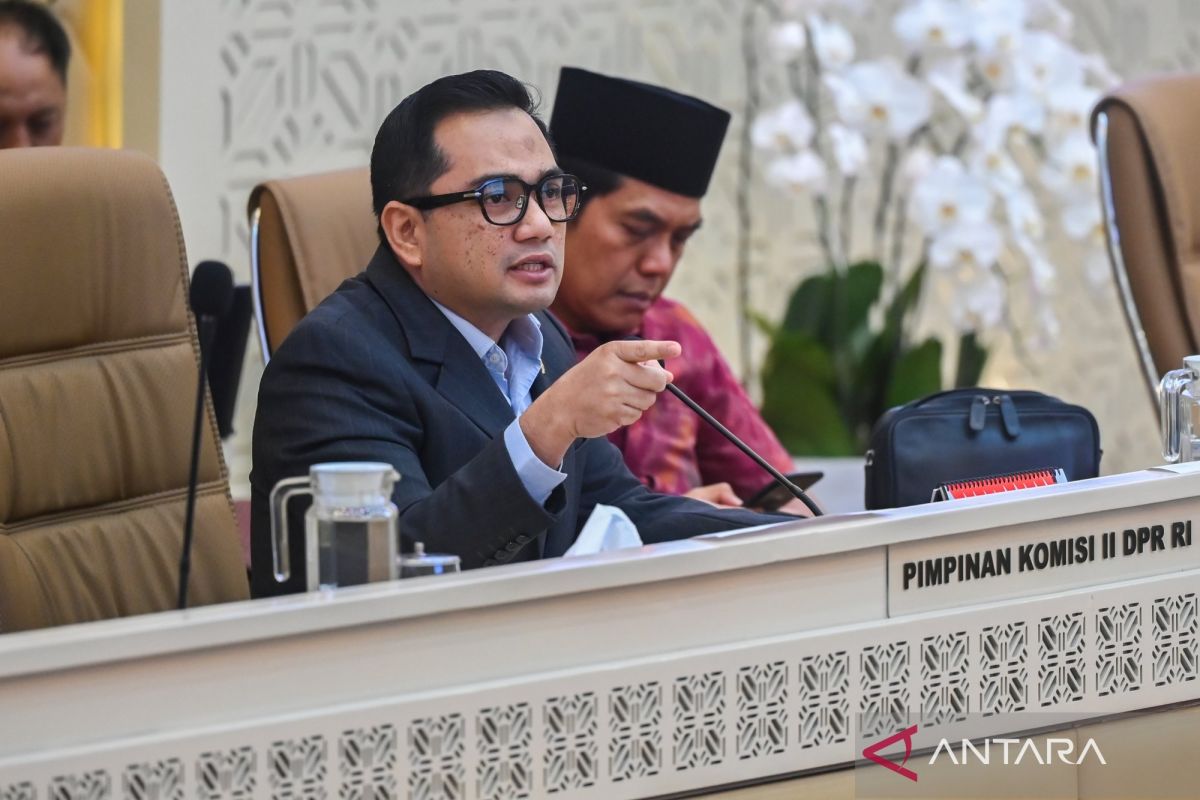 House Commission II Welcomes Government Policy to Prevent PPPK Layoffs