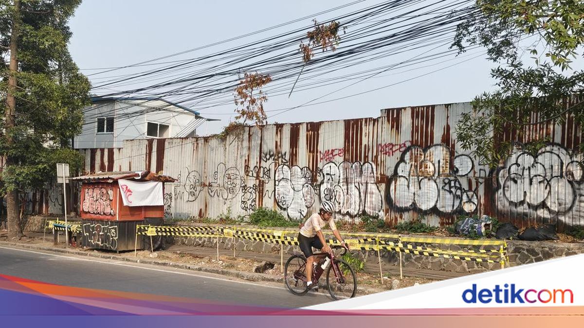 More Illegal Tree Felling Discovered in Bandung, This Time in Dago