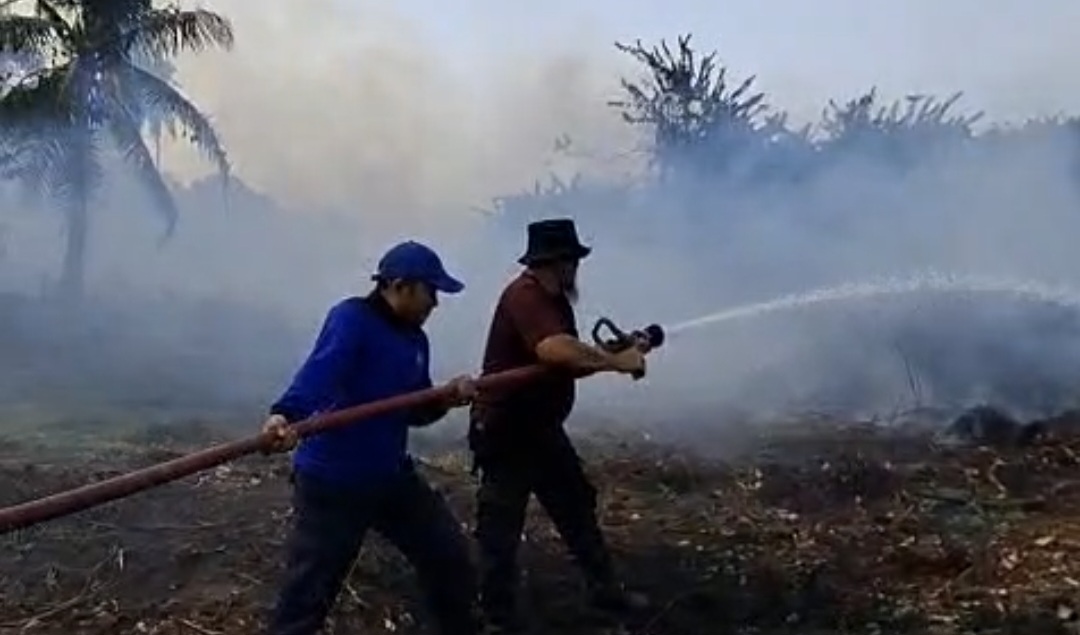 Bangka Firefighters Overwhelmed by 10 Daily Forest and Land Fire Reports