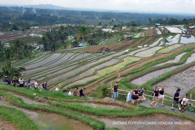 Tourism Investment Grows by Double Digits