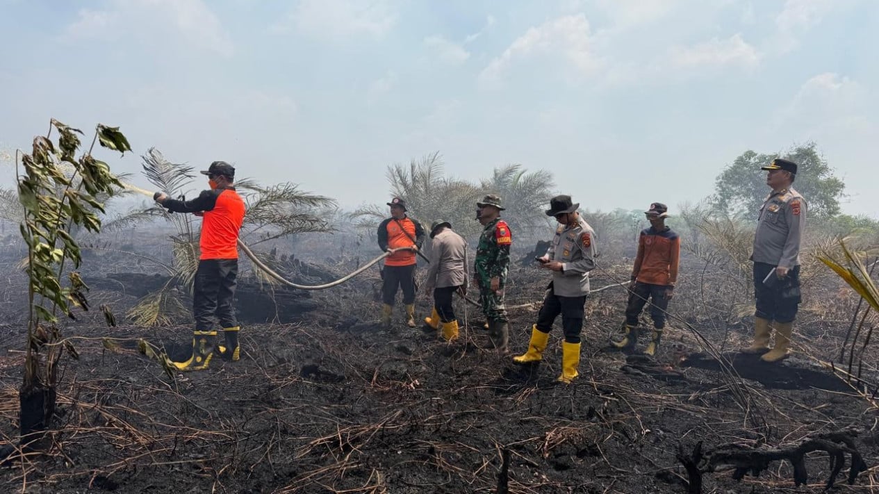 BNPB: Wildfire on East Seram Hills Successfully Extinguished