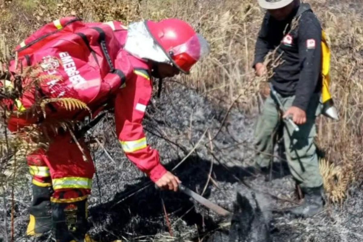 Mount Rinjani National Park Office confirms wildfire extinguished