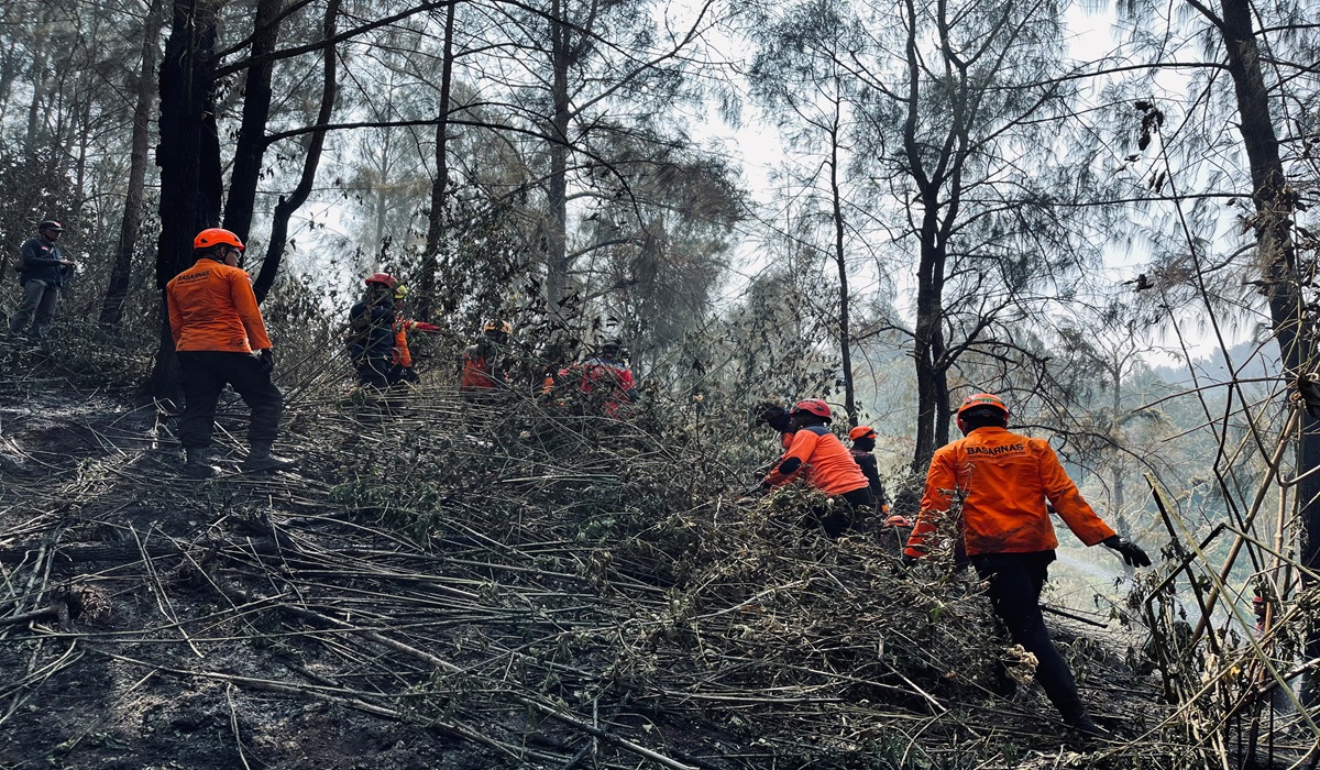 Area Affected by Bromo Fire Reaches 899 Hectares
