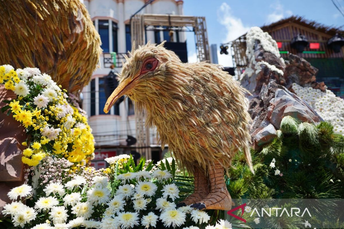 Creative Economy Ministry Aims to Make Tomohon a Globally Competitive Floriculture City