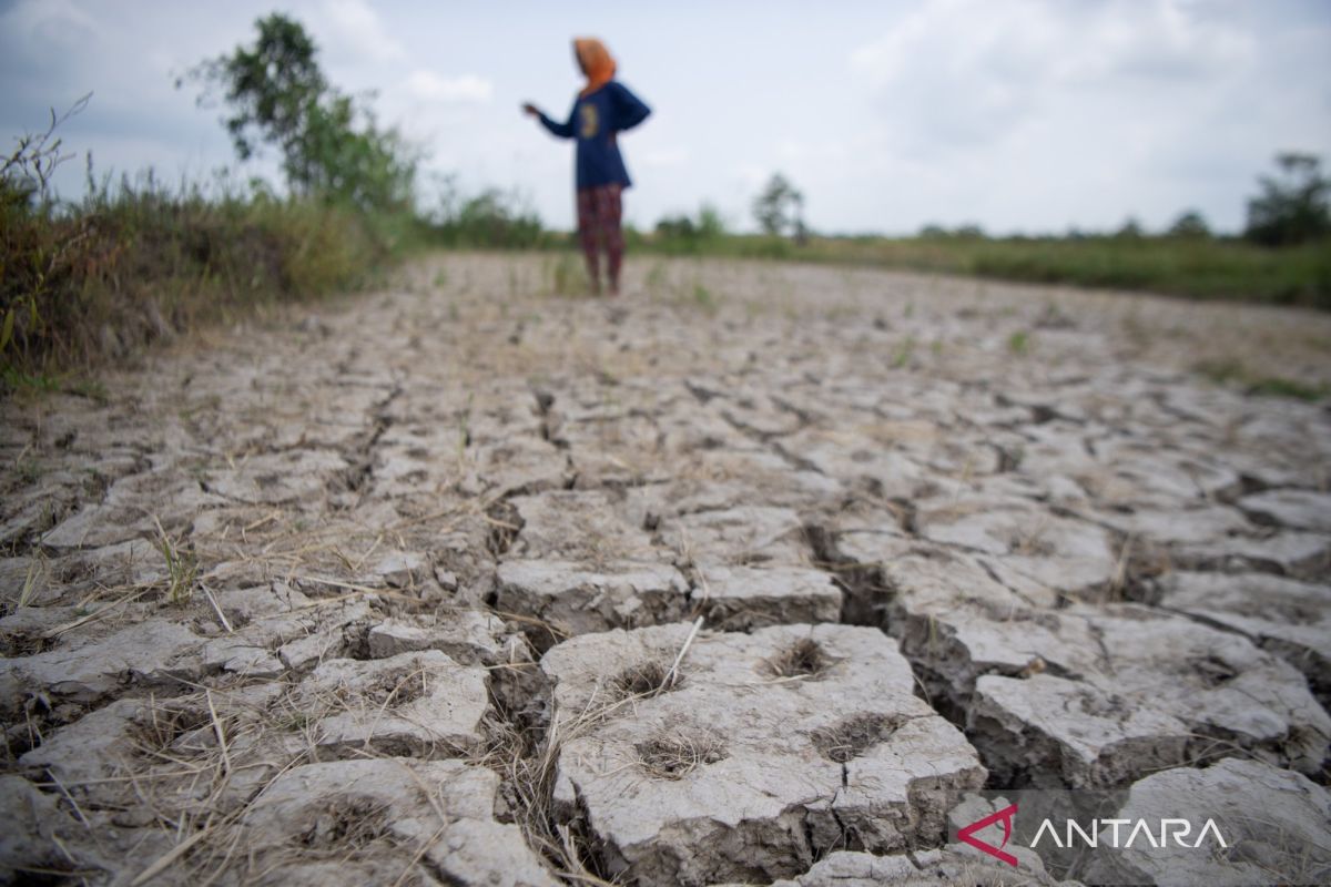 Strong El Niño to Prolong South Sumatra Dry Season Until Late October