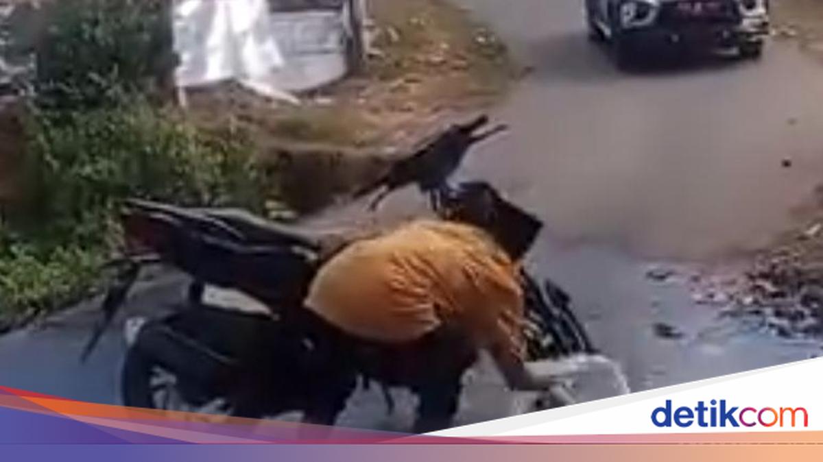 Sumbawa Resident Blocks Deputy Regent's Car to Protest Damaged Roads and Water Crisis