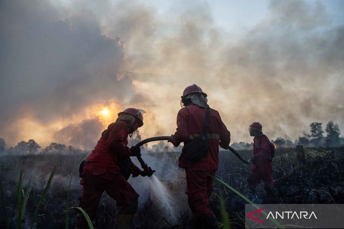 Firefighters Battle to Extinguish Land Fires in Kertapati, Palembang