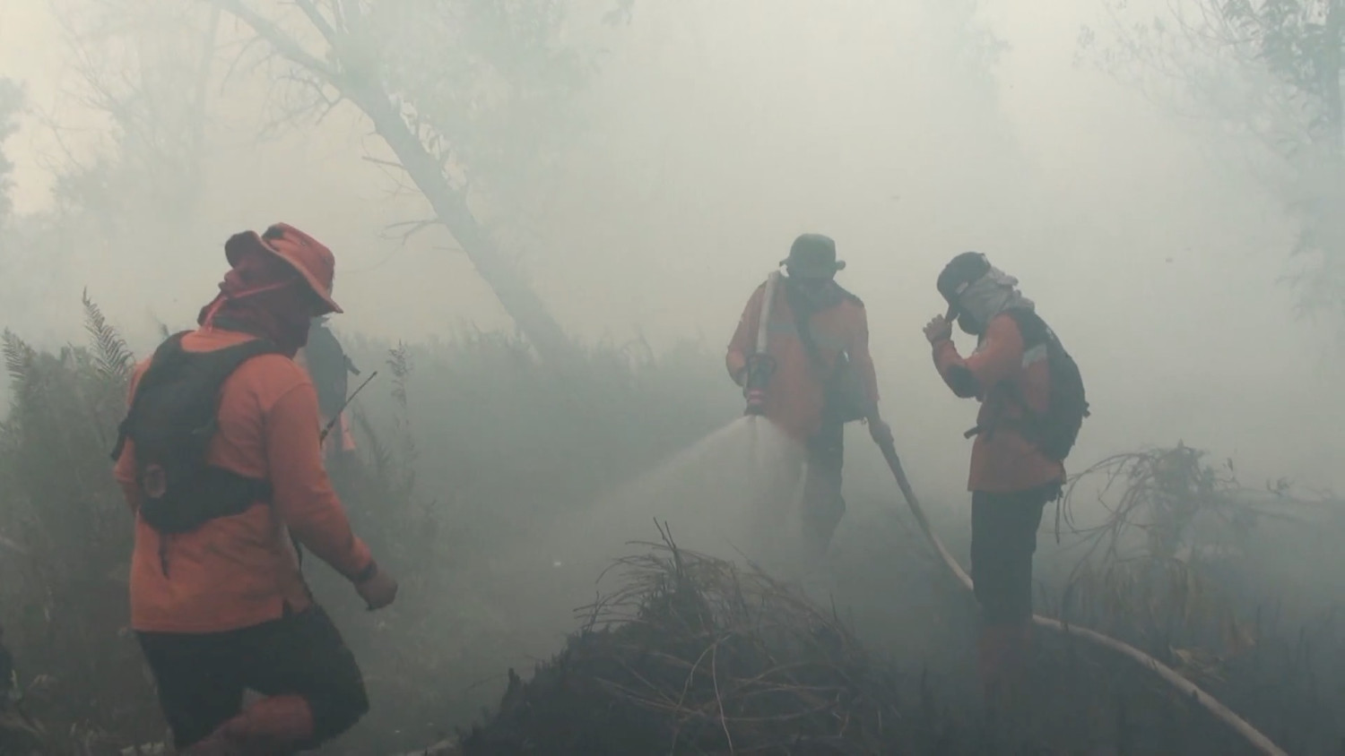 Palangka Raya Extends Emergency Status as Forest and Land Fires Spread