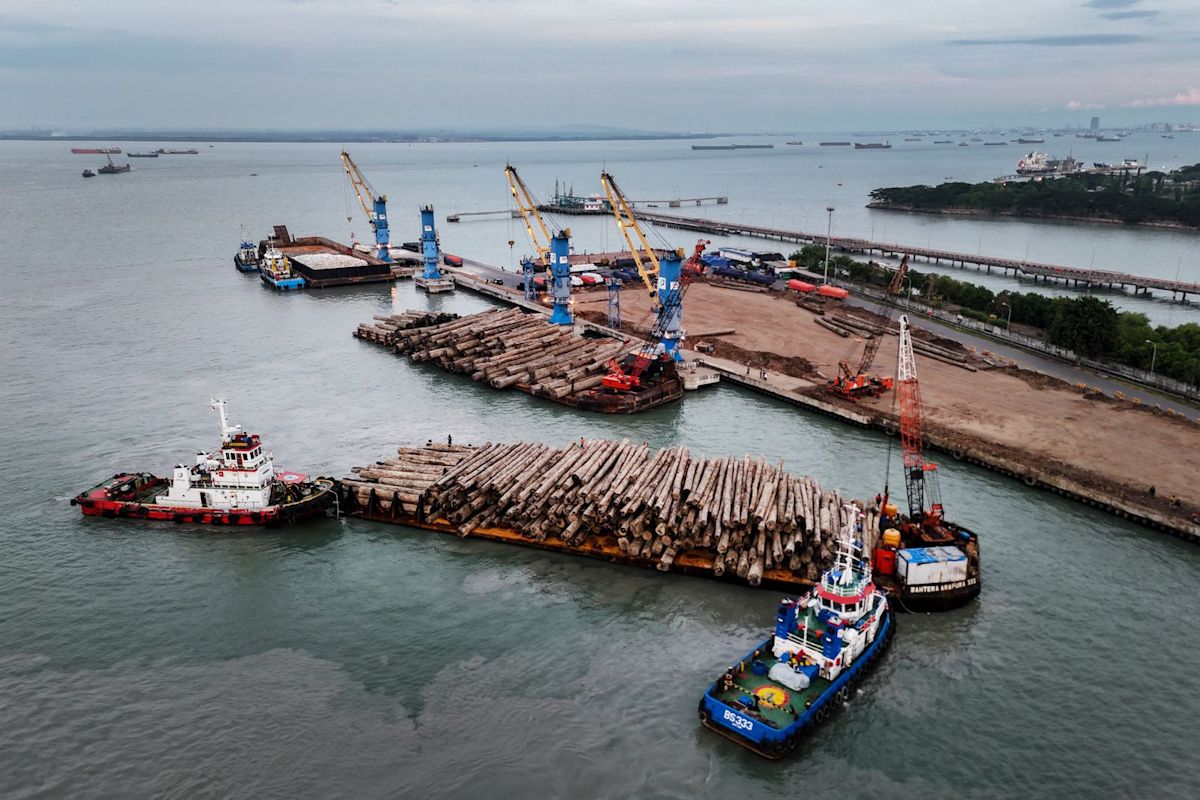 Pelindo Multi Terminal: Cargo throughput reaches 59.59 million tonnes in first half
