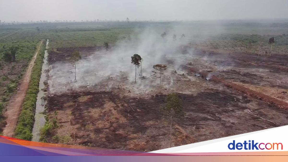 Riau Police Name Two Suspects in HGU Land Forest Fire Case in Bengkalis