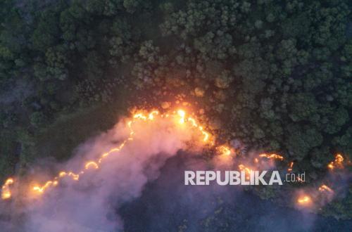 Forest and Land Fires in Six Priority Provinces Scorch 48,889 Hectares