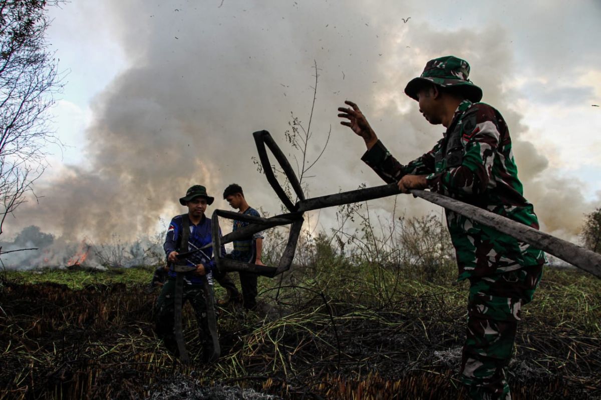 BNPB: Wildfire at Gunung Picung, Cianjur, Under Control
