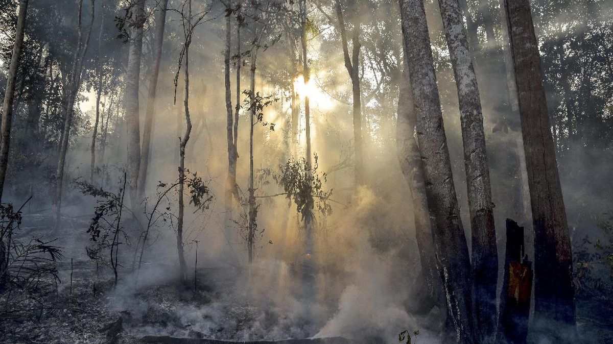 123 Hotspots Indicating Forest and Land Fires Detected in Riau