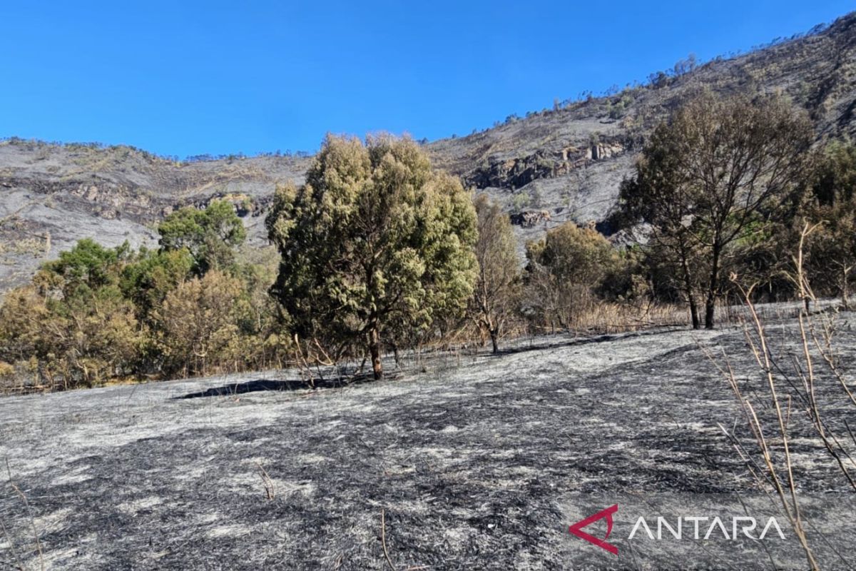 TNBTS: 2,056 Tourists Request Refunds After Bromo Closure