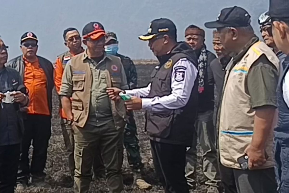 Two Bromo wildfire hotspots expected out by Friday: BNPB
