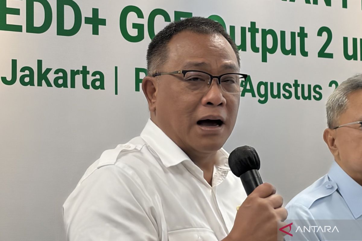 Environment Minister Signals Red and White Village Cooperatives Could Join Carbon Trading