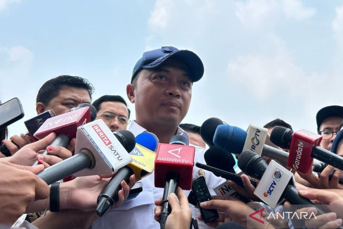 Palace: Track record the reason Prabowo appointed Destry as BI Governor