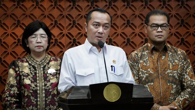 Prabowo Selects Destry as Sole Candidate for BI Governor, Here's Why