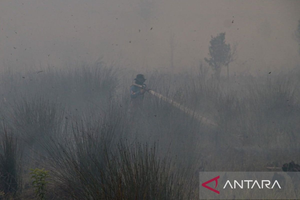 Palangka Raya Extends Forest and Land Fire Emergency Status