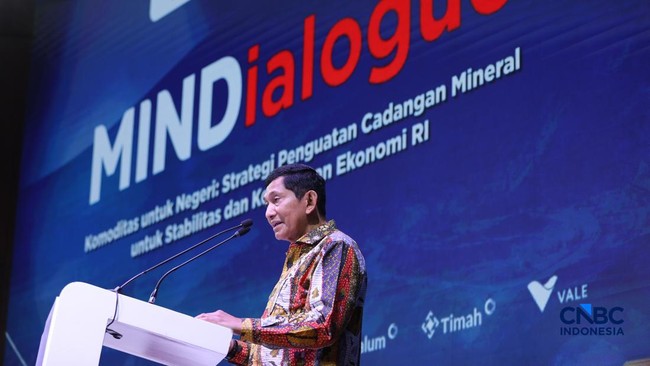 MIND ID CEO Proposes National Mineral Stockpile
