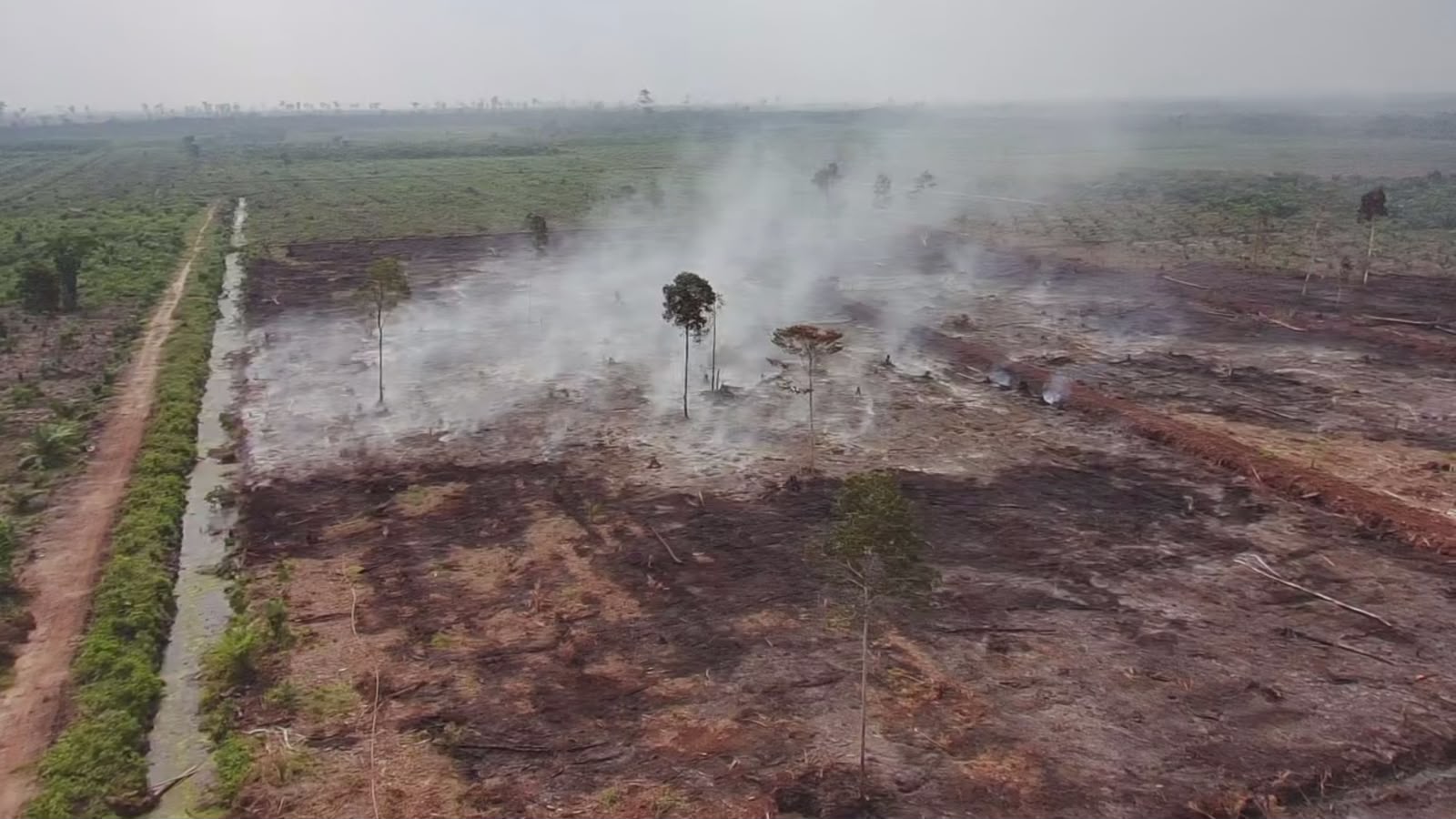 Riau Police Name Two Suspects in Bengkalis Forest and Land Fire Case