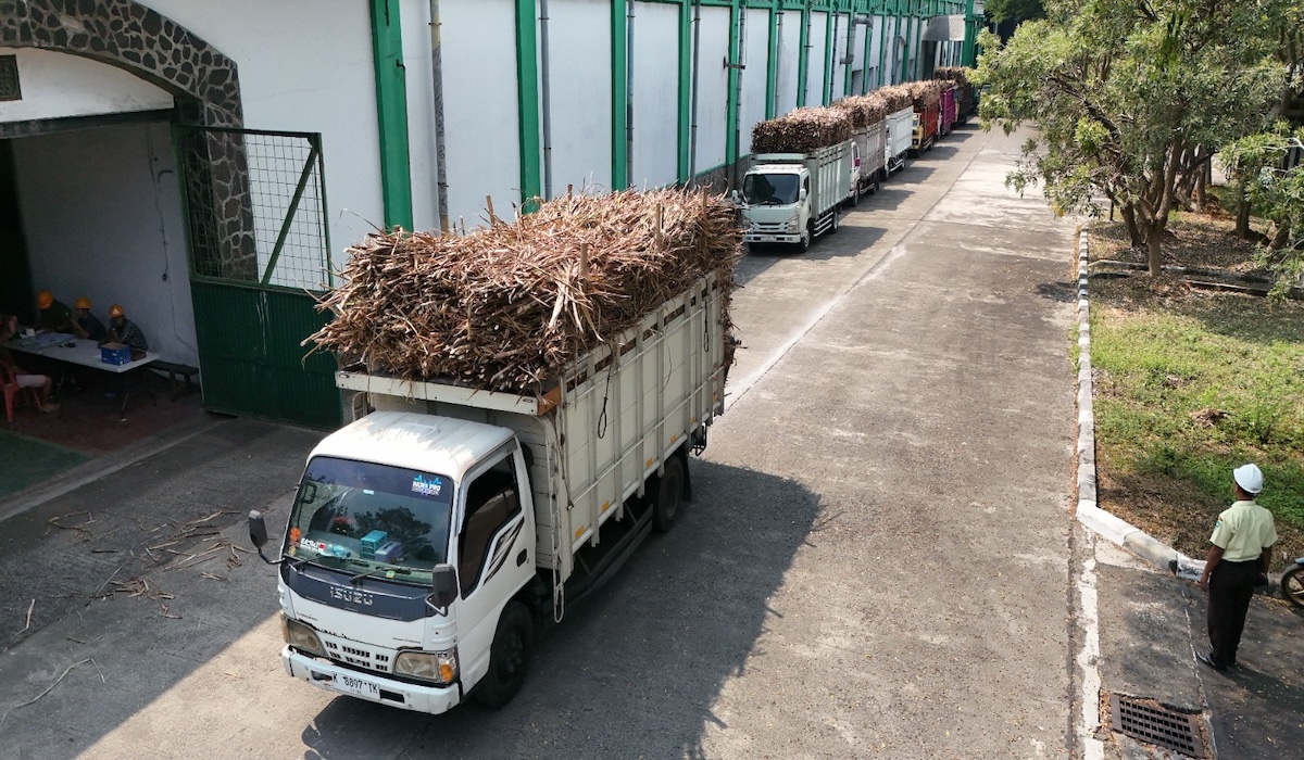 Farmers' Sugarcane Intake Strengthened
