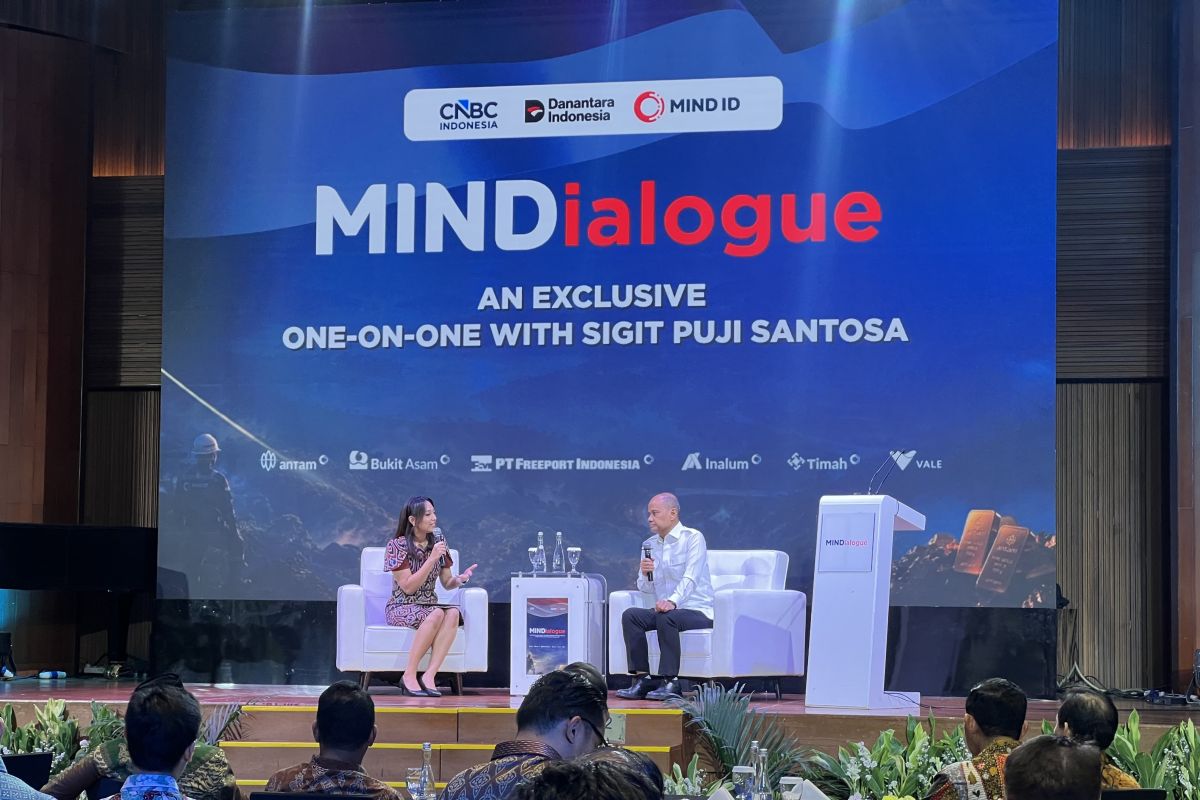 Indonesia to Build Permanent Magnet Factory from Rare Earth Elements