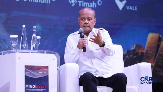 Danantara CTO Details Challenges in Semiconductor and Critical Mineral Processing