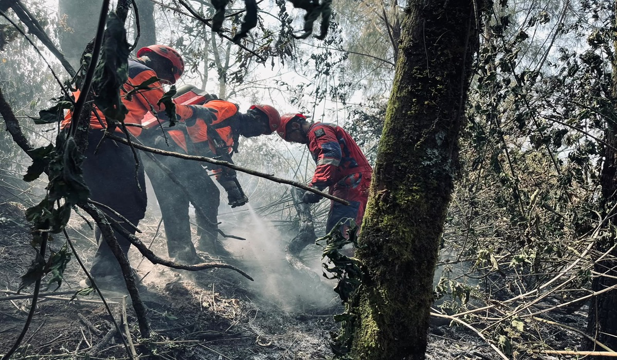 Bromo Forest Fire Extinguished, Basic Infrastructure Rehabilitation Underway