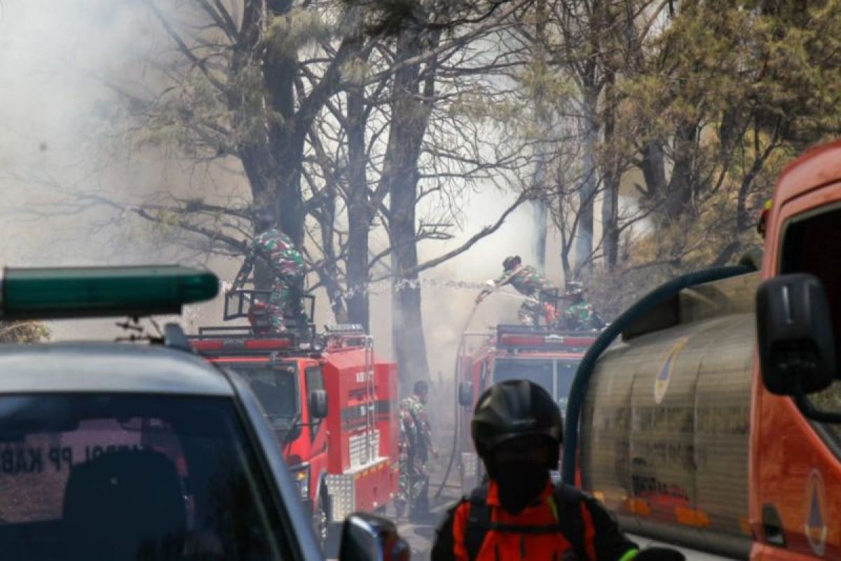 BNPB: Ground and Air Task Forces on Full Alert to Handle TNBTS Forest Fires