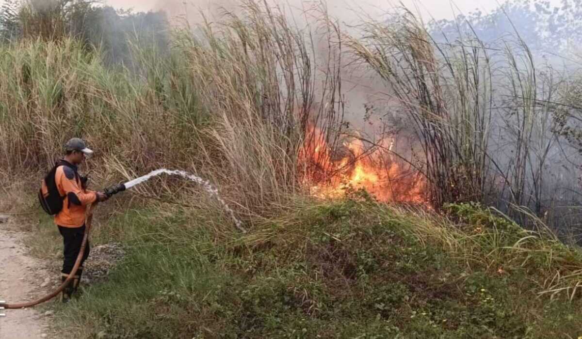 Forest and Land Fires Dominate Incidents in Majalengka Throughout July
