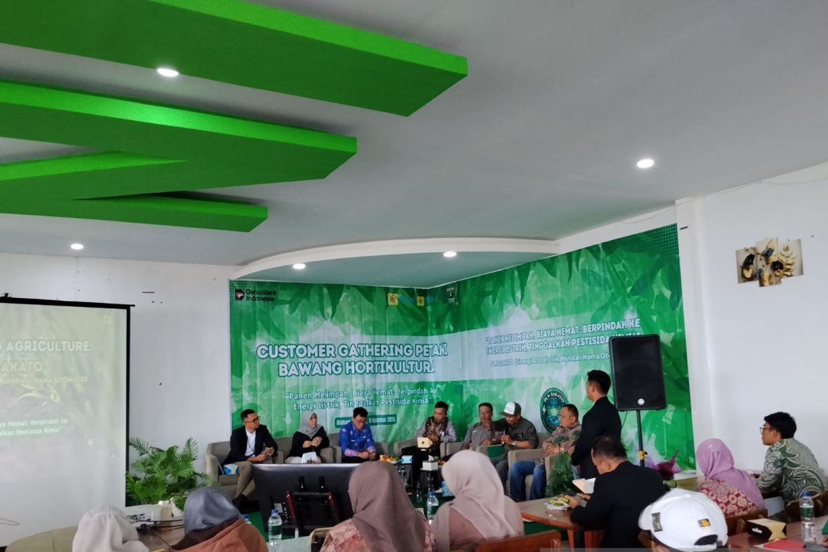 Solok Regency Encourages Farmers to Develop Campion Shallot Variety
