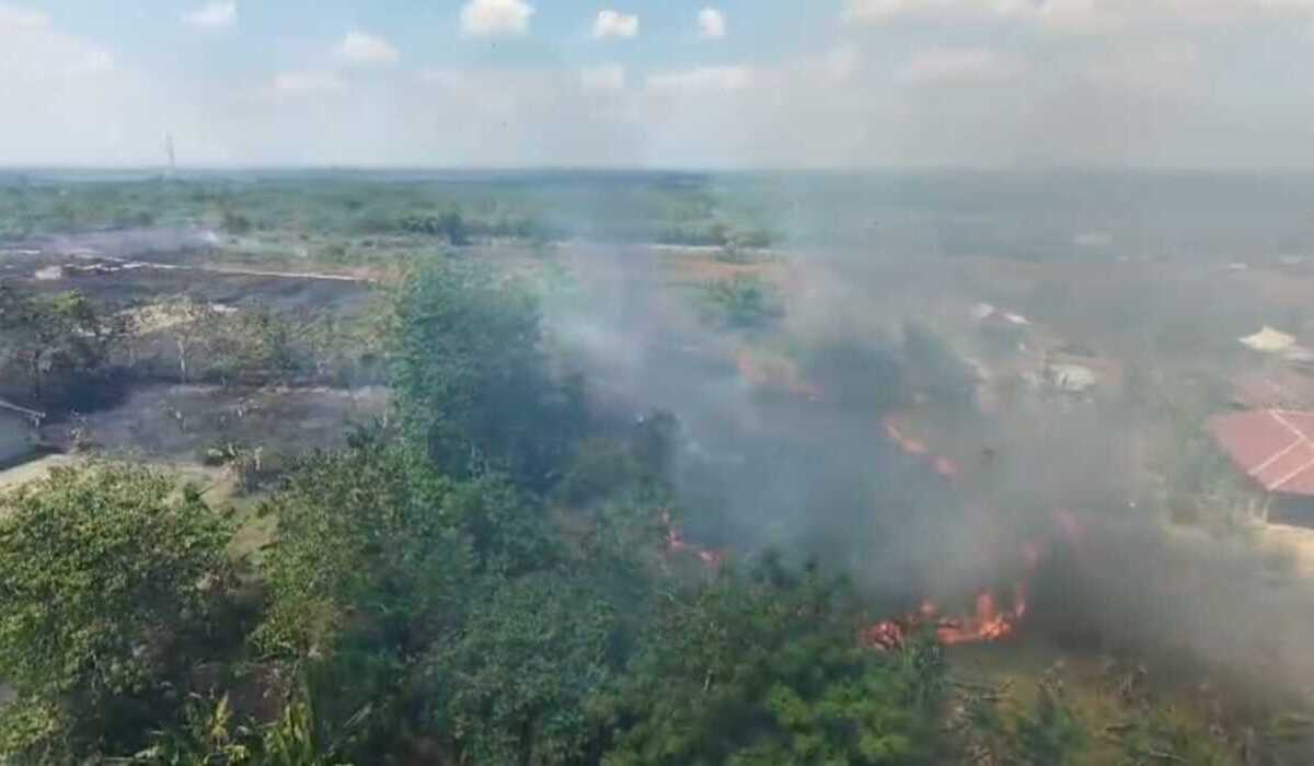 Forest and Land Fires Spread Across Four Regencies in South Sulawesi, 33 Hectares Burned