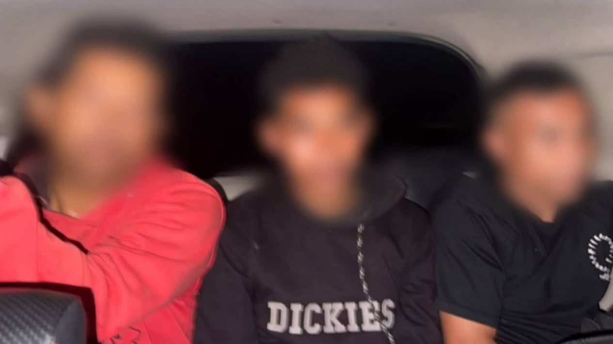 Three Arrested for Burning Owl Alive, Motivated by Local Myth and Content Creation